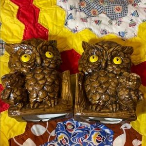 Beautiful owls set